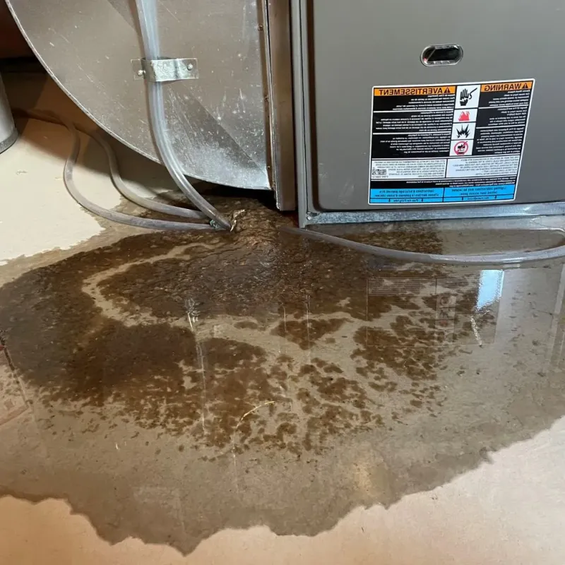 Pipe Burst and Leak Restoration in Lyon County, KY