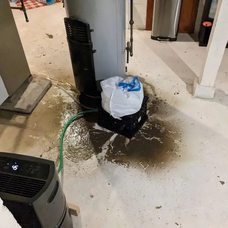 Sewage Backup Cleanup Service in Lyon County, KY